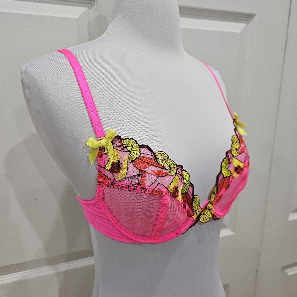 Dolls Kill Playful Promises Mesh Magda Pink Neon Cocktail Embroidery Bra S 32B - Picture 2 of 5